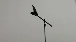 BLUESHARK Wind Indicator | Real-Time Wind Response