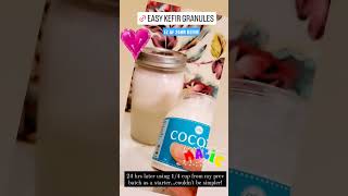 🥥EASY Coconut Kefir in 24 hours