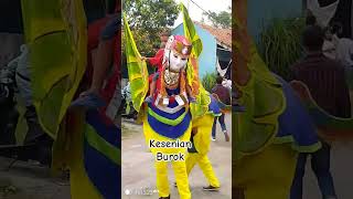 kesenian burok yang harus di pertahankan#Keseniandaerah