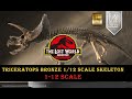 Triceratops Fossil Skeleton – 1:12 Scale Bronze