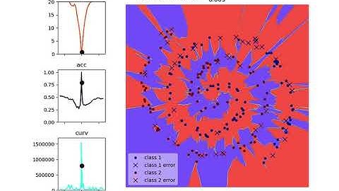 Understanding Generalization through Visualizations - Supplemental Animation