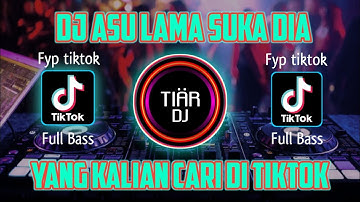 DJ ASU LAMA SUKA DIA - REMIX TERNYATA KO NAMA TANIA VIRAL TIKTOK FULL BASS