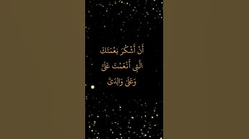 تلاوة خاشعة ومؤثرة من سورة #النمل #المصحف #صلوا_على_النبي #اطمئن #اكسبلور  #اكتب_شي_تؤجر_عليه #لايك