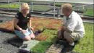 Hot Weather STEPABLES
