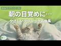 【朝の目覚めに】やさしいクラシック名曲集☘️心地よく一日を始める音楽【おはようクラシック6】【作業用・リラックスBGM】途中広告なし