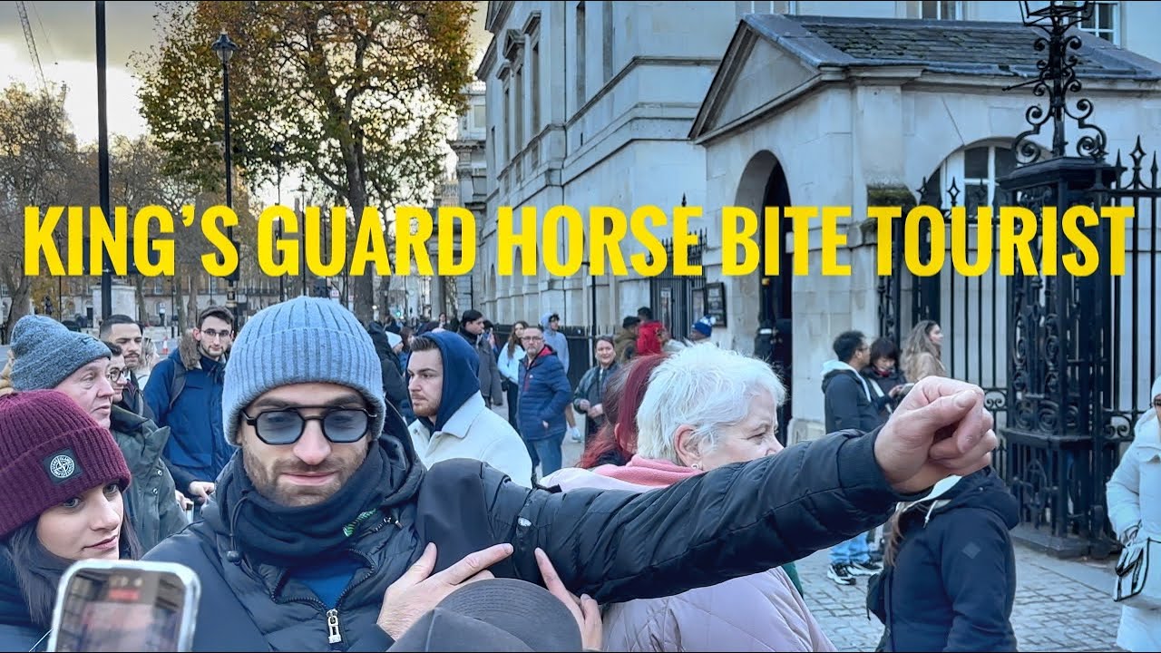 Shocking Moment King’s Guard Horse Bite Tourist YouTube