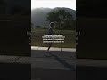 Mindset all summer #trackandfield #athletics #crosscountry #marathon