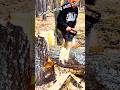 wood cutting skill 220 #chainsaw #husqvarna #stihl #woodworking #treecutting #tree #treeremoval #how