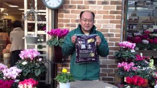 黒土 商品紹介 - YouTube