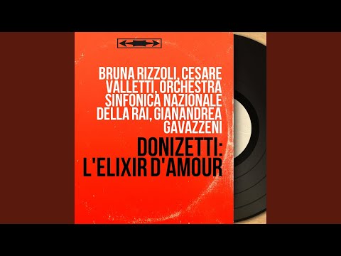 L'élixir d'amour, Act II, Scene 9: Duo. "Or, or si spiega" (Nemorino, Adina)
