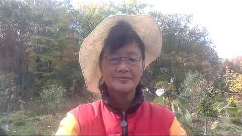 Inference about Two Population Proportions - Part 2 of 2