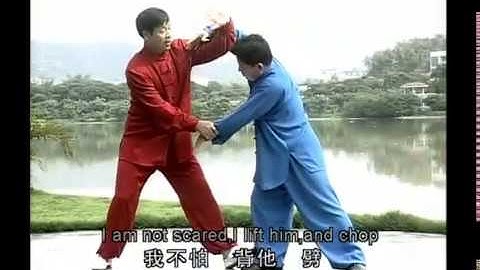 Sun-style Xingyi 12 animal shape boxing lecture 2/2   
