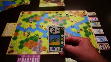 Fast Sloths - Board Game