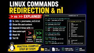 Master Linux Redirection in Minutes 🚀 #Linux #Ubuntu #Terminal #Programming #Coding