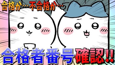 【ちいかわ】意を決して合格番号を確認する２人…果たして番号はあったのか！？【最新話】
