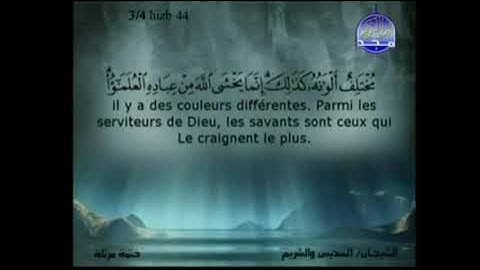 سورة فاطر يس الصافات ص الزمر غافر الشيخ السديس والشريم