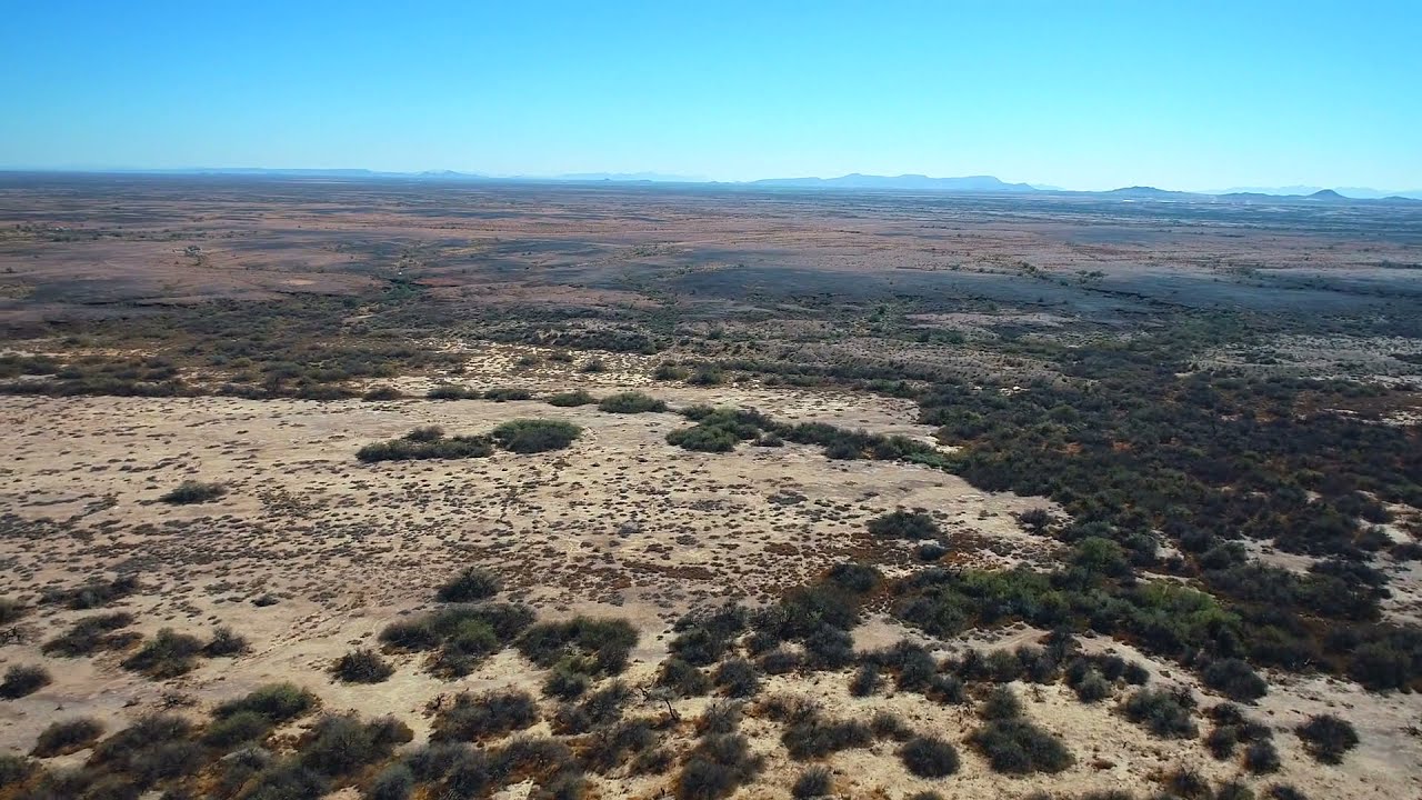 40 Acres in Dateland, Arizona 85333