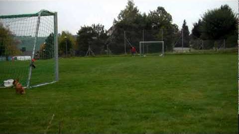 Hobbyzone Champ Crashes & Rough Landings part2 but FUN FUN to FLY