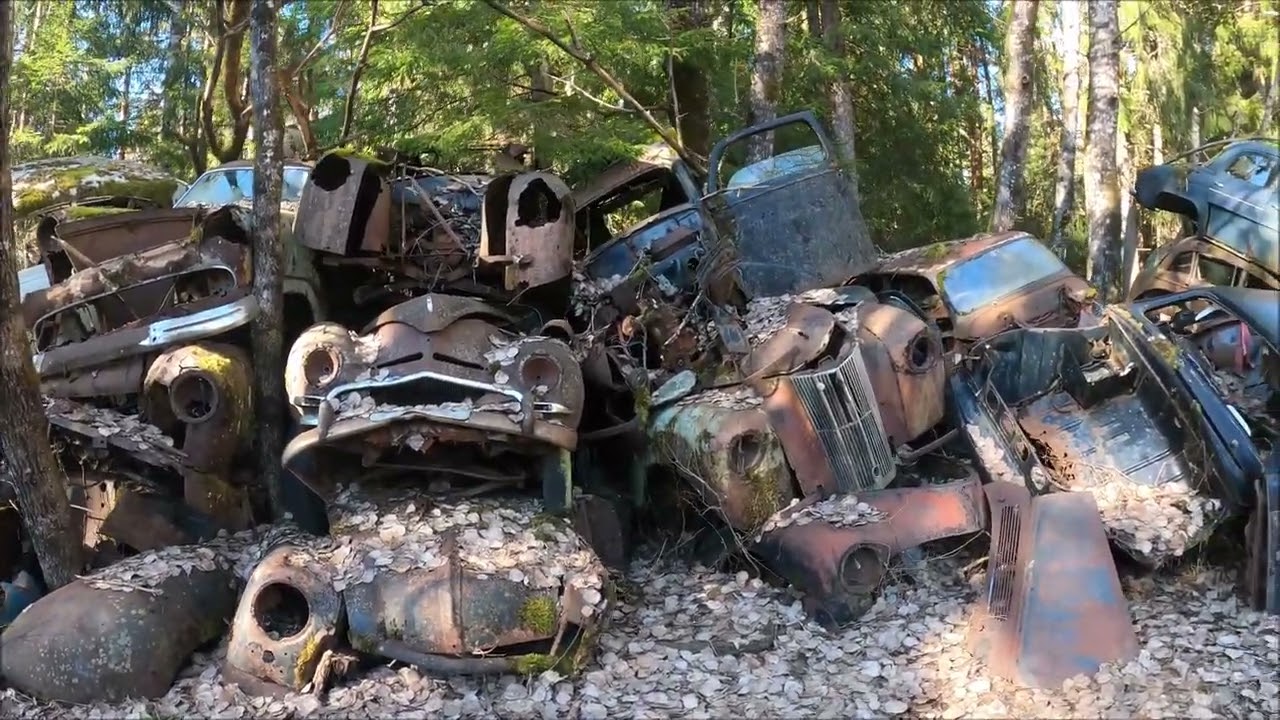 Båstnäs Bilkyrkogård 2025 - Abandoned cars