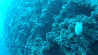 Dive Charters, Gibraltar. MFV Helen