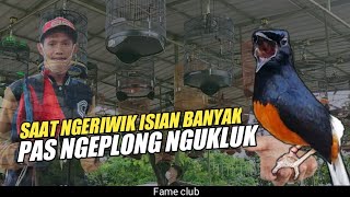 The Magpie Only Makes A Clucking Sound
