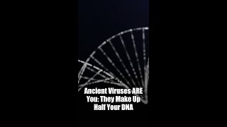 Ancient Viruses ARE You: They Make Up Half Your DNA