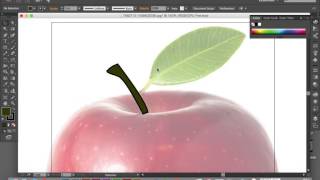 Adobe Photoshop and Illustrator CC - Raster and Vector Images