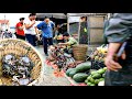 After the summer rain go harvest stone crabs and sell them at the market ly tieu bac