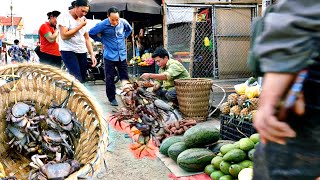 After the summer rain, go harvest stone crabs and sell them at the market ly tieu Bac