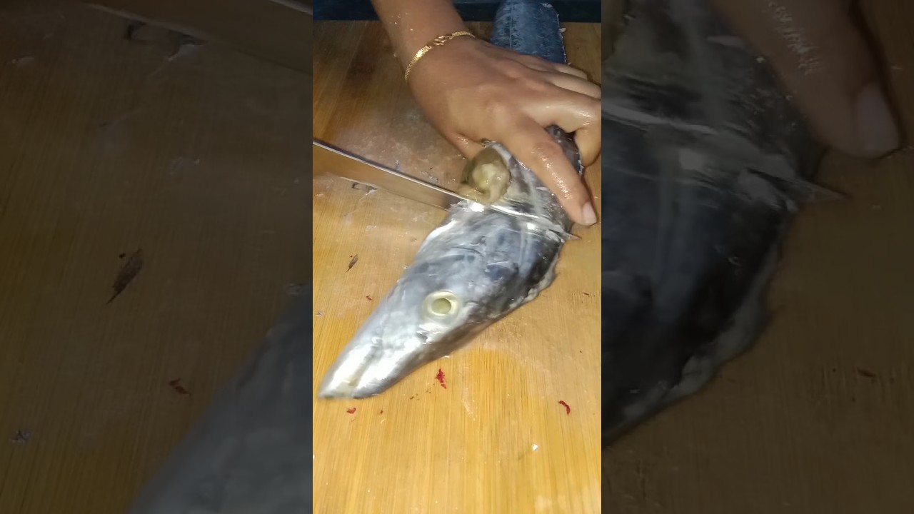 வாள🐟😂🤫  மீனு   கழுவி  பாத்துருவோம் 