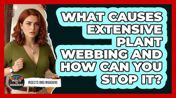 What Causes Extensive Plant Webbing And How Can You Stop It? - Insects and Invaders