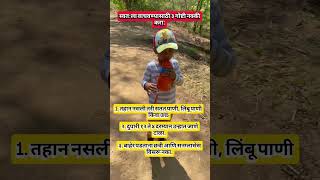 🚨 २५ मे पासून धोक्याची चेतावणी! 🥵 Maharashtra Heatwave Alert! #Shorts