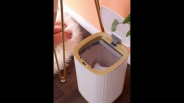 Are You Looking For A Best Trash Bin? Try The Smart Automatic Induction Waterproof Trash Bin #Shorts