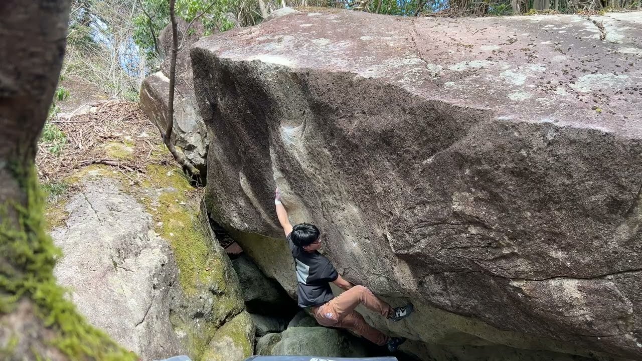 「スズメバチ」二段　(フクベ)