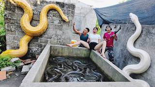 Brave Soldiers Used High-Tech Snake Detectors To Locate The Giant Python's Nest.