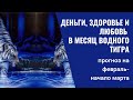 Деньги, здоровье и любовь: что ждет тебя в феврале-начале марта?    #ольга_бакальчук