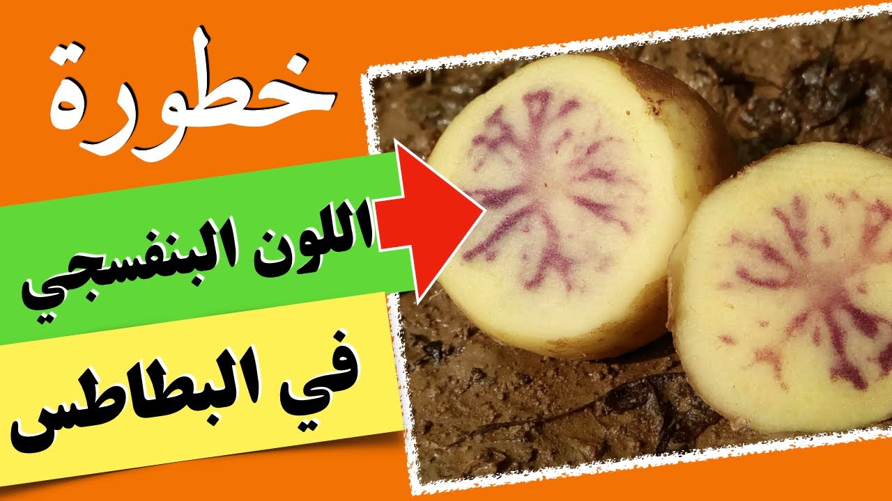 البطاطس  🥔🥔  خطورة اللون البنفسجي في البطاطس