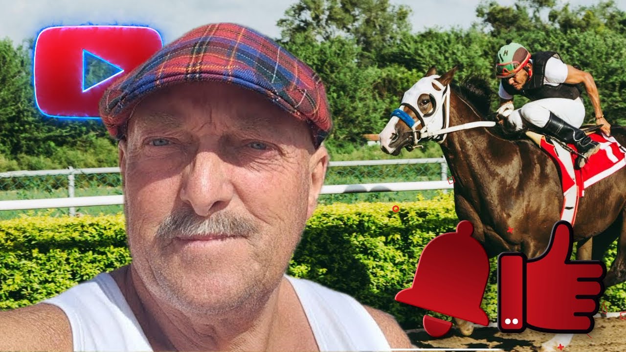 HORSE RACING TIPSTER - WON’T GET BEAT? - YouTube