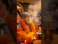 Jai shree sai nath pranam 🙏🌹