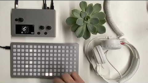 Monome / Norns + Grid / o-o-o