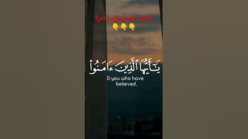 سورى الأحزاب #القرآن_الكريم #السعودية #quran #الدوسري #الدعاء #تلاوات #اسلام_صبحي #العفاسي #اسلام
