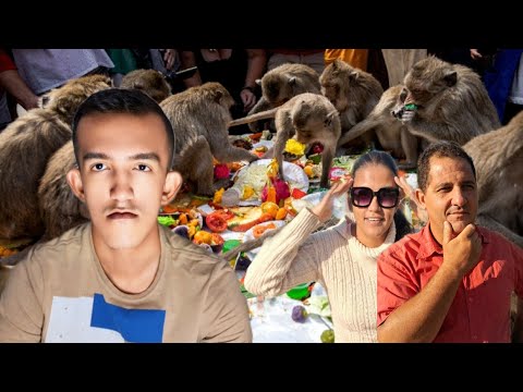 Nós Fomos ATACADOS Por Macacos!!