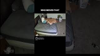 Looks like Im sleeping on the couch for the rest of my life. #paranormalvideos #wyzecamv4 #scary