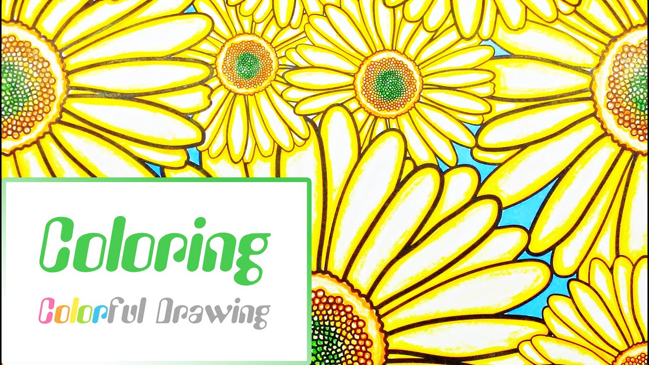 Speed Coloring Coloriage Tournesols