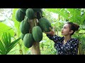 Cooking traditional soup vegetable in Cambodia