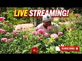Come watch me eat!
