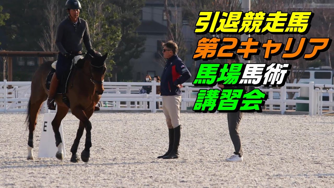 引退競走馬でオリンピック出場したボイド氏の馬術講習会の様子 2023/12/20 JRA馬事公苑
