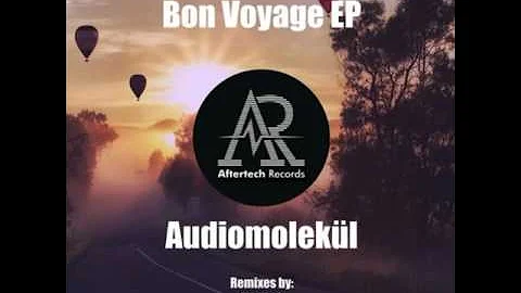 Audiomolekul feat. Beatpunx - Radiate (Original Mix)