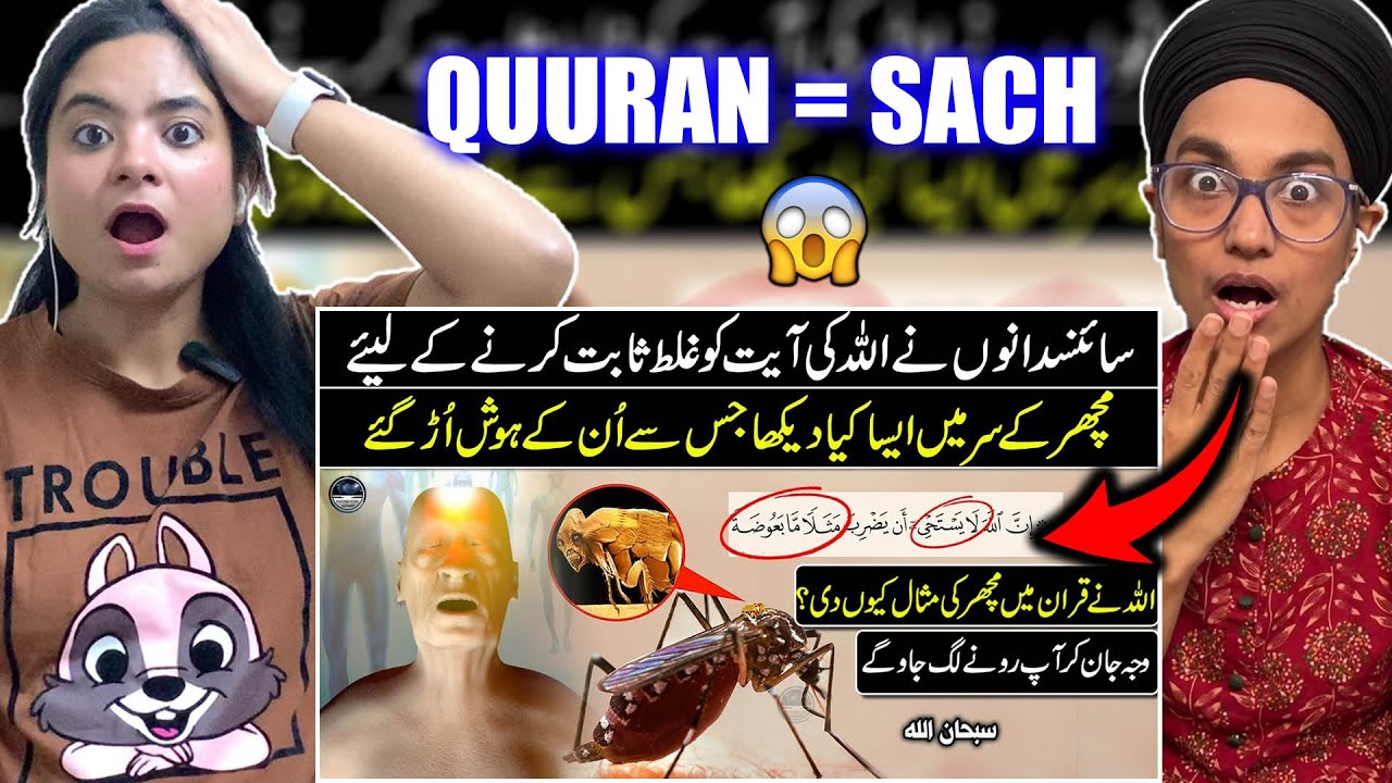 Why Did Allah Create Mosquitoes? The Answer Will Shock You - "Miracle ...