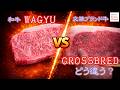 高級和牛 vs 交雑ブランド和牛、霜降り肉を食べ比べてみた